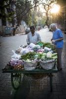 Veggie Cart